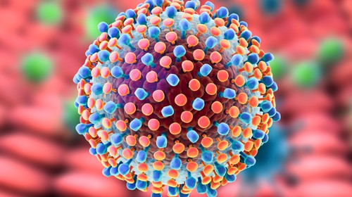 Symptoms And Warning Signs Of Hepatitis C: A Reality Check