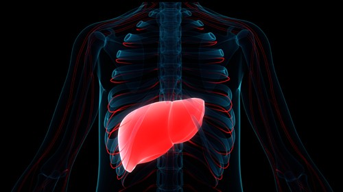 Things You Need To Know About Liver Cancer