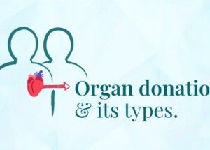 Organ Transplantation: How It Works
