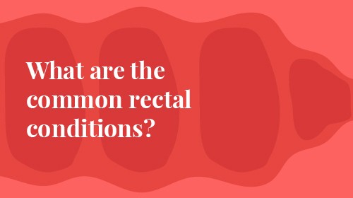 What is a rectum?