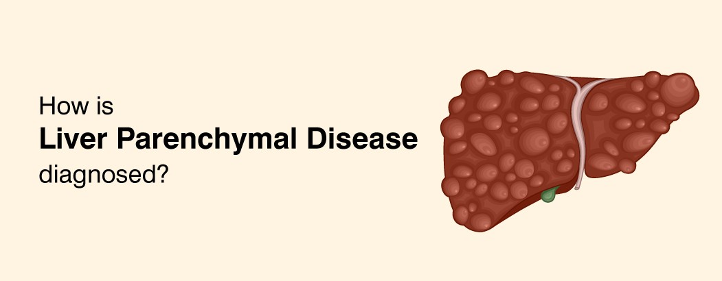 What is Liver Parenchymal Disease